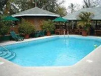 Toucan Tobago